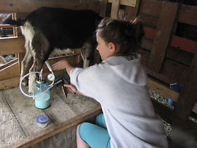 Goat milking machine (hand operated vacuum milker)