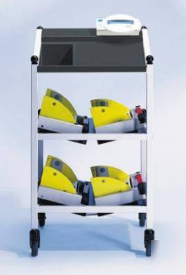 Seca 984, high capacity dialysis scale, medical scale