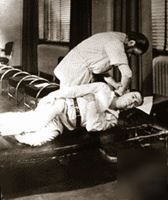 The wellness chiropractic seminar, chiroacademy