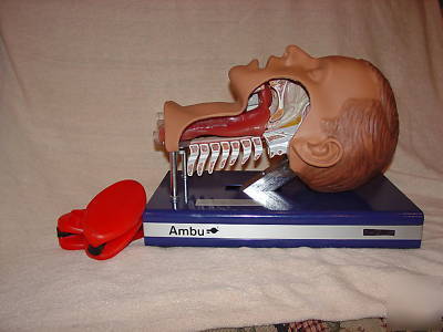 Ambu airway management trainer used in great condition