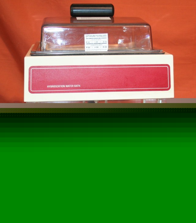 Stovall belly dancer hybridization water bath BDHWB115