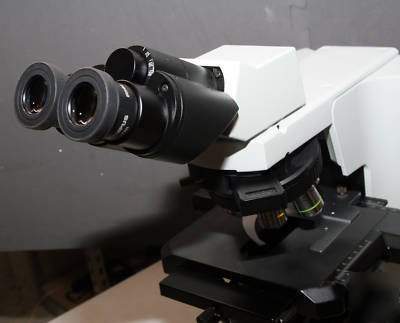 Olympus BX41 tf clinical / anatomic microscope mint 