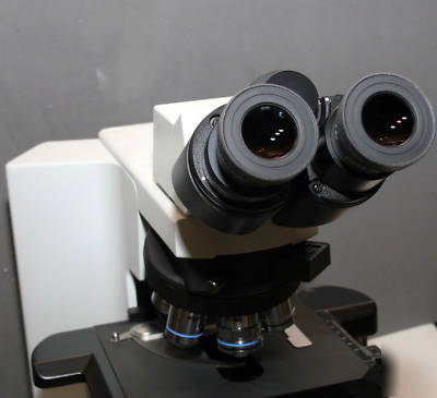 Olympus BX41 tf clinical / anatomic microscope mint 