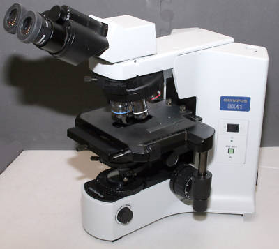 Olympus BX41 tf clinical / anatomic microscope mint 