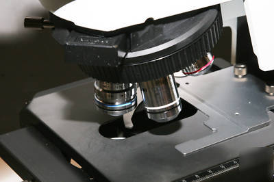 Olympus BX41 tf clinical / anatomic microscope mint 