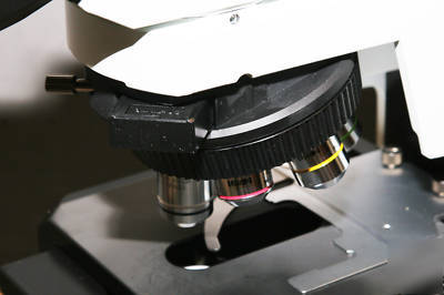 Olympus BX41 tf clinical / anatomic microscope mint 