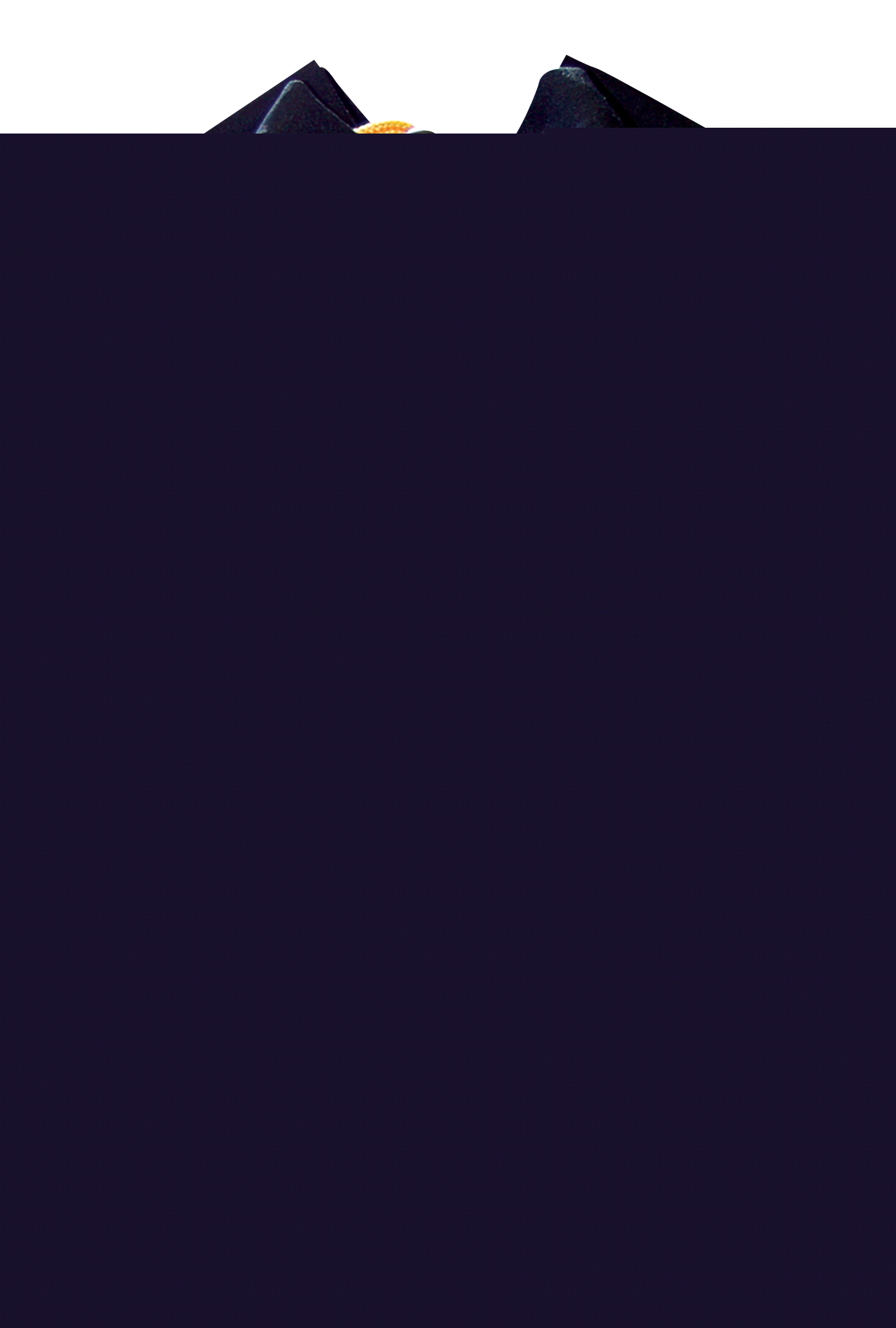 Tillman 520 welders gear & helmet bag