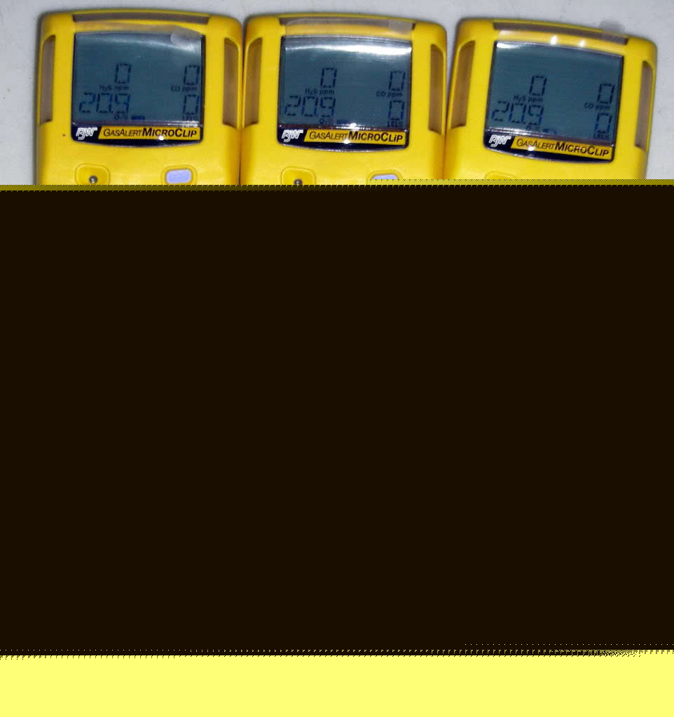  bw gas alert micro clip monitor O2 co H2S lel 6 pack