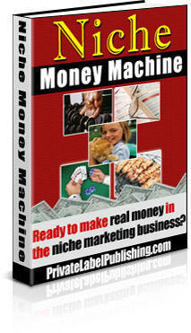 How to build an auto pilot money machine business ebook