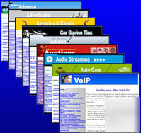 Hot article niche 155 content adsense websites