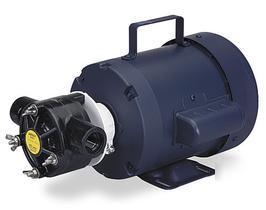 Flexible impeller pump, power rating 1/2 hp, 1 phase