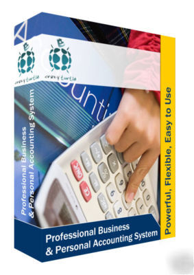 Professional business and personal accounting system
