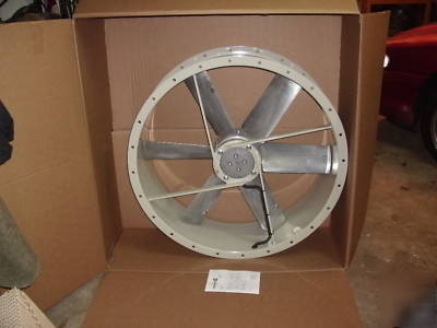 New - axial 30