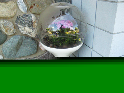 New unique restaurant furniture decor plant terrarium 
