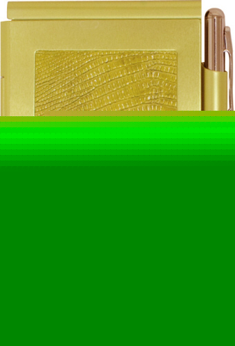 Flip notes safari green snake skin metal notepad w/pen