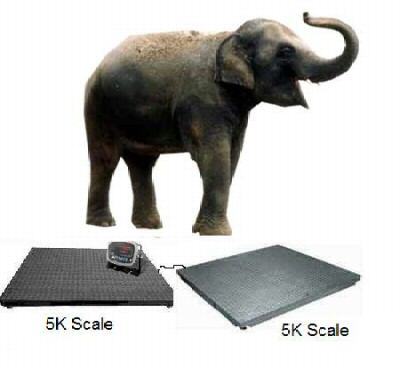 5,000 lb 4X4 floor scale weigh shipping pallet scales