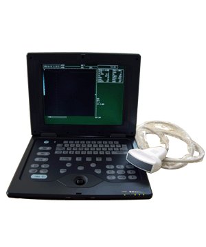  veterinary digital palmsize ultrasound scanner-laptop