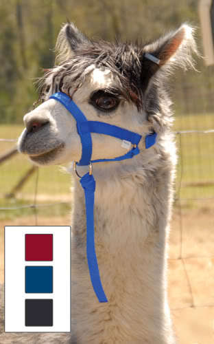 New nylon llama/alpaca halter - adult size