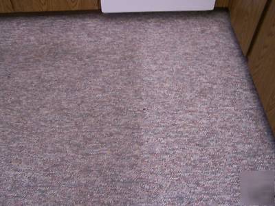 Carpet cleaner websites i have pictures and video's