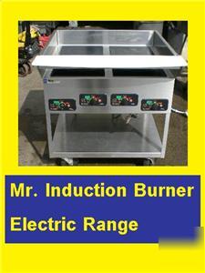 Mr.induction burner electric range quiznos sub NJ1