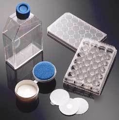 Bd biocoat cellware, poly-lysine, bd biosciences 356461