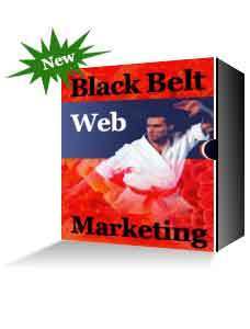 Black belt web marketing - drive customers to your site
