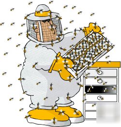 Beekeeping guide & raise bees successfully ebook cd