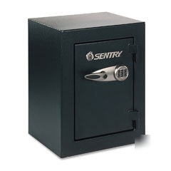 Sentry 38 cubic ft steel firesafe security safe with e