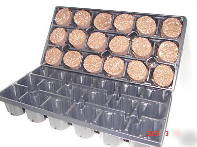 Wholesale 1 pallet 18-01 65MM 240 ellepot trays w/ soil