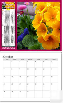 Wall calendar w bible reading plan -july 2010-june 2011