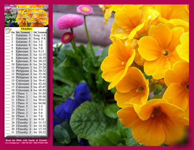 Wall calendar w bible reading plan -july 2010-june 2011