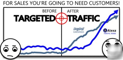 Established traffic website business for sale