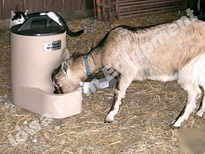 Miraco heated waterer livestock,goats,sheep,pigs & pets