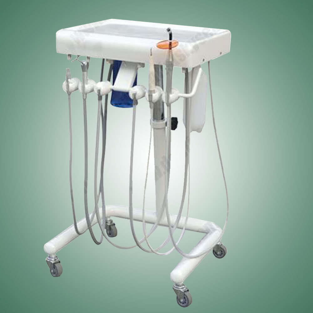 Veterinary dental equipment portable delivery unit