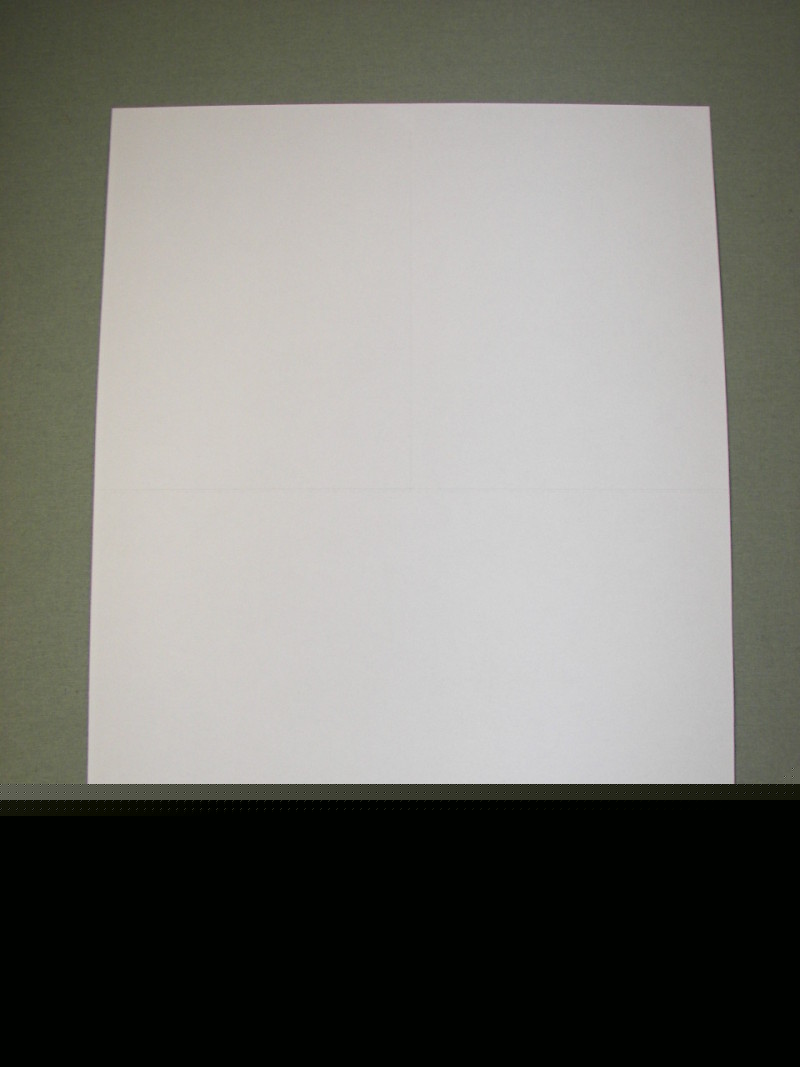 1500 perf half sheet shipping labels 8.5 x 5.5 usps ups