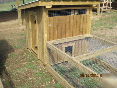 Rhode island red hen house chicken coop