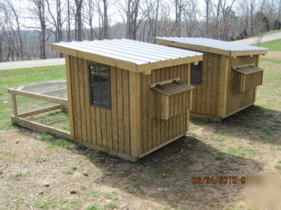 Rhode island red hen house chicken coop