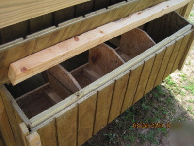 Rhode island red hen house chicken coop