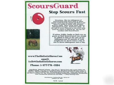 Scoursguard
