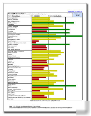 Personal effectiveness profile for success assessment