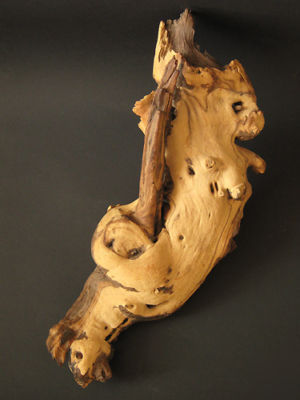 Driftwood jati wood unique and unusual shape