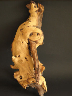 Driftwood jati wood unique and unusual shape