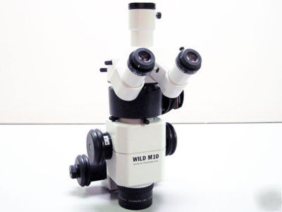 Wild M10 stereomicroscope 1:10 zoom leica microscope