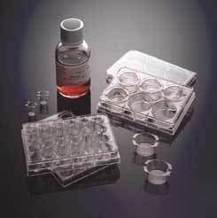 Bd biocoat matrigel matrix cellware, bd biosciences