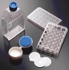 Bd biocoat cellware, poly-lysine, bd biosciences 356529
