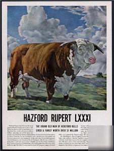 Hazford ruphert most famous bull ever 10 x 13 clipping