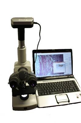 Nexcope CM401T microscope with tucsen 3.0MP cmos camera