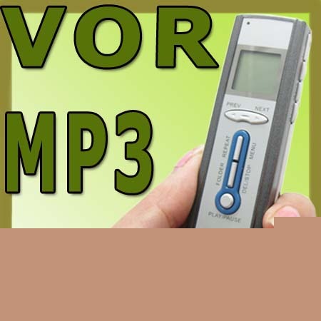 New digital voice recorder dictaphone MP3 file 2G mic