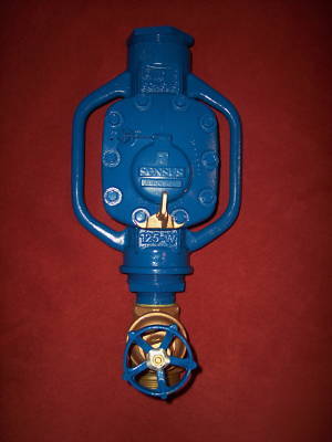 Sensus meter 125-w fire hydrant, temporary metering