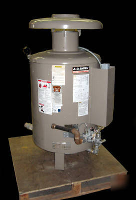 Ao smith 420,000 btu copper coil boiler - natural gas